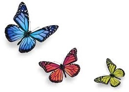 butterflies rev.jpg